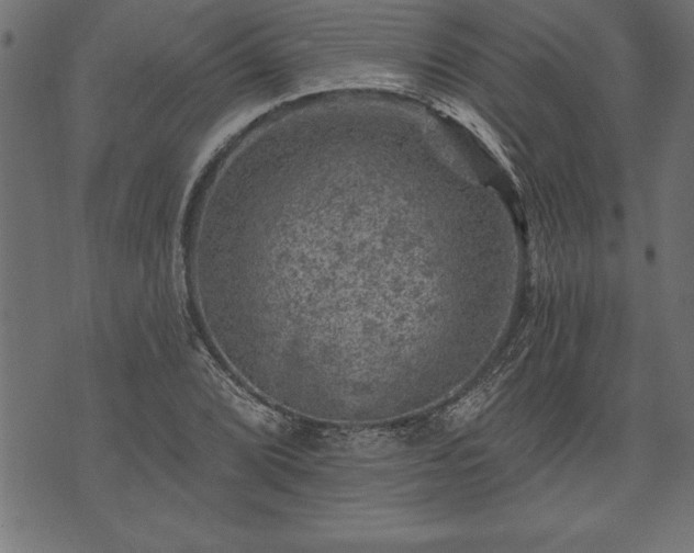 X0000073891072200608180928