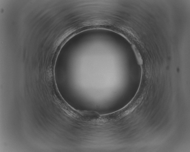 X0000073891073200608180928