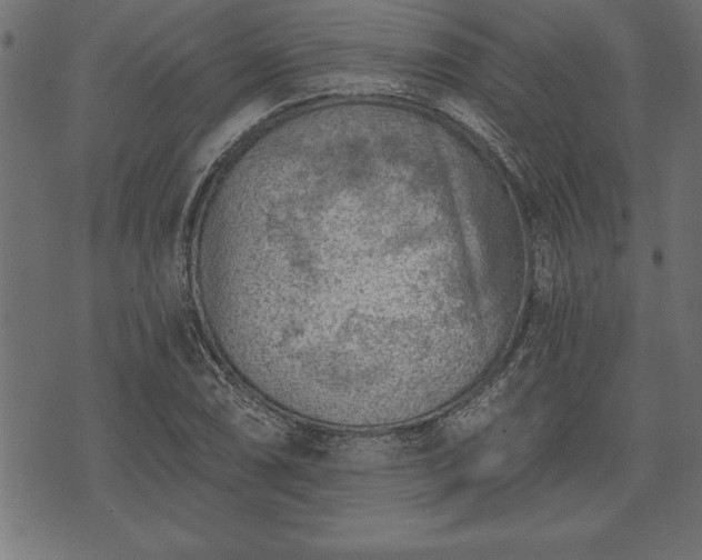 X0000073891074200608180928