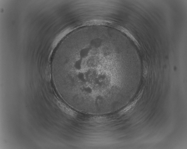 X0000073891075200608180928