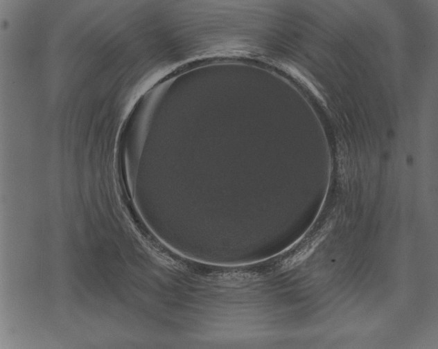 X0000073891077200608180928