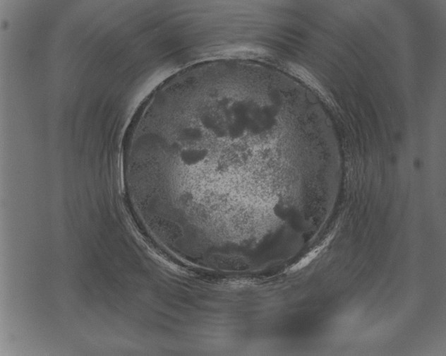 X0000073891079200608180928