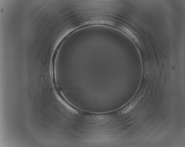 X0000073891084200608180927