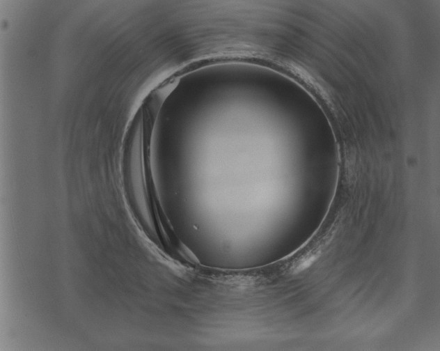 X0000073891085200608180927