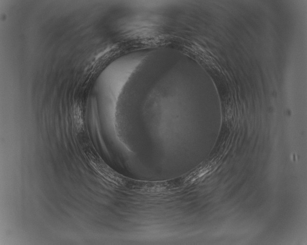 X0000073891106200608180926