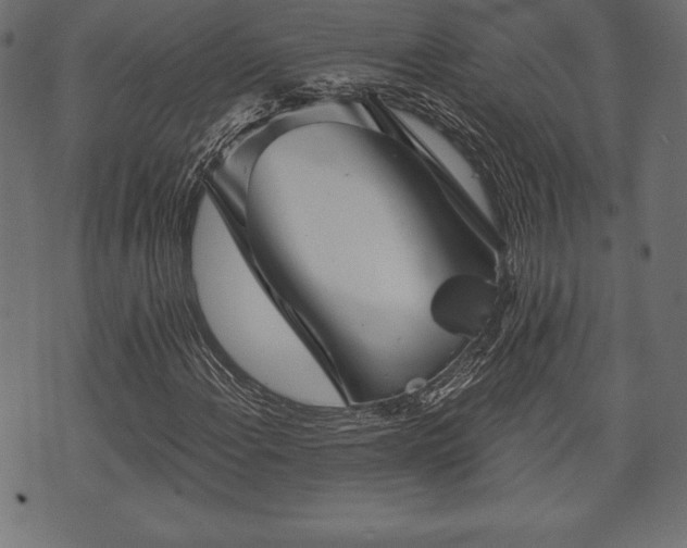 X0000073891108200608180926