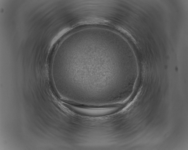 X0000073891114200608180926