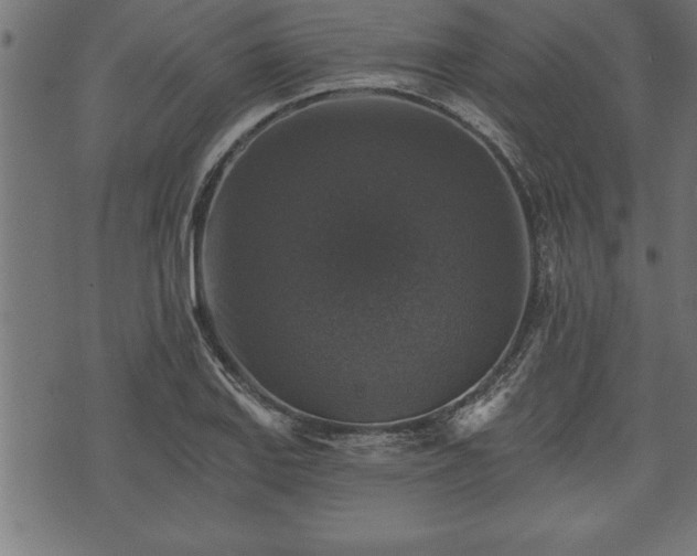 X0000073891127200608180927