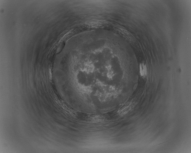 X0000073891155200608180926