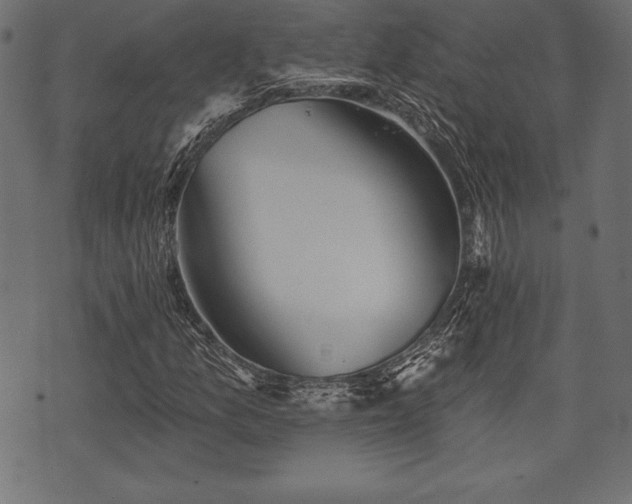 X0000073891157200608180926