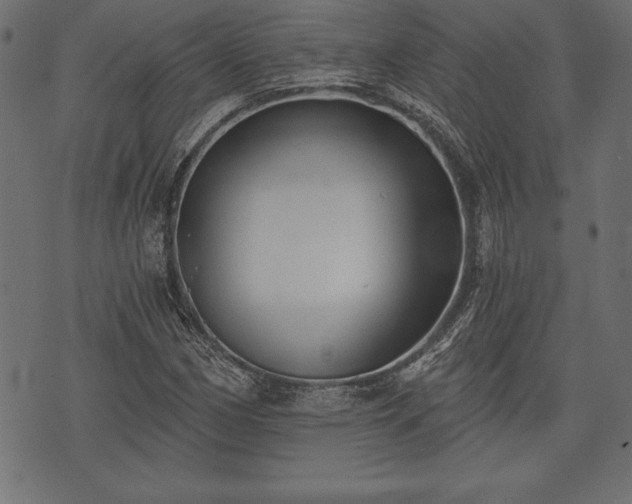 X0000073891162200608180926