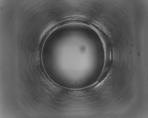 X0000073891164200608180926
