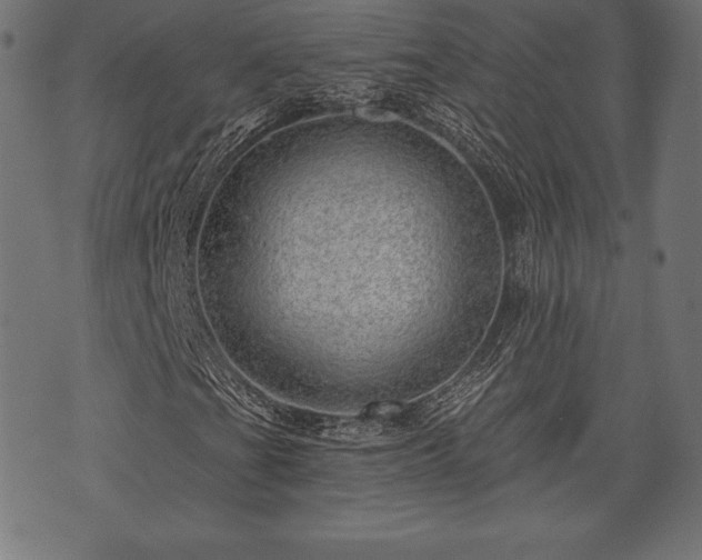 X0000073891201200608180925
