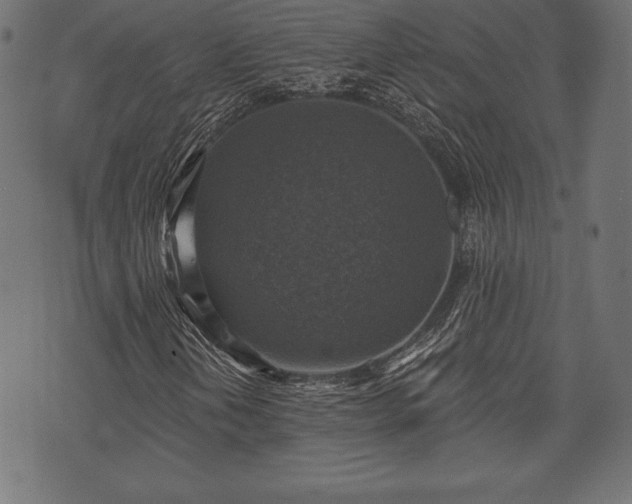 X0000073891202200608180925
