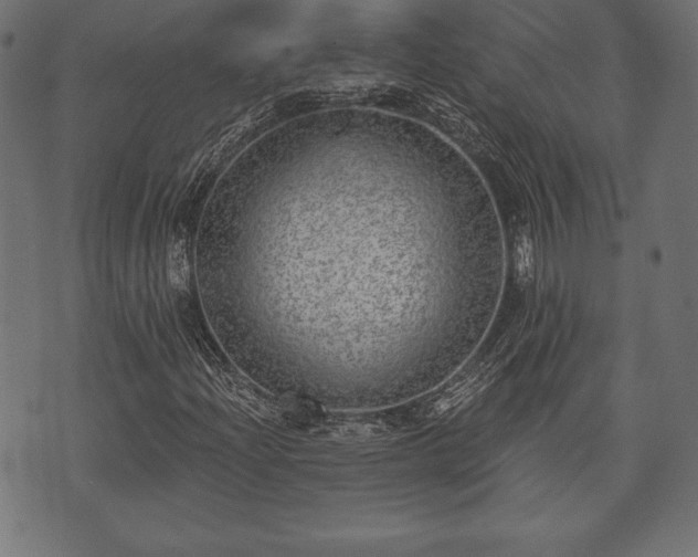X0000073891204200608180925