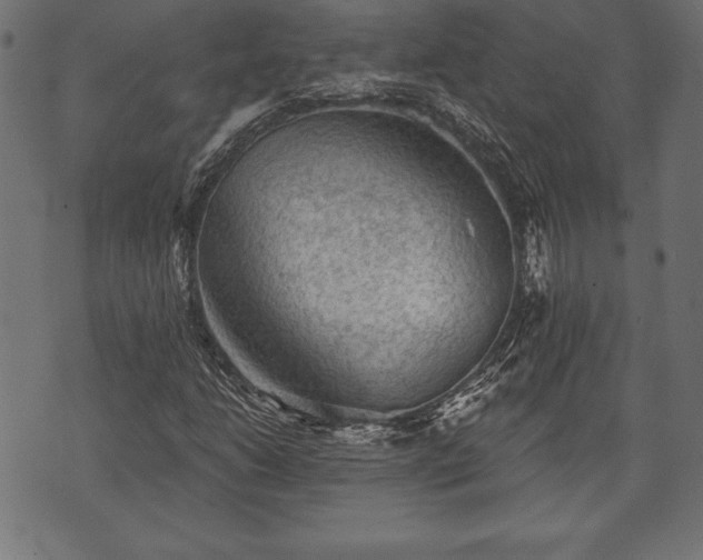 X0000073891206200608180925