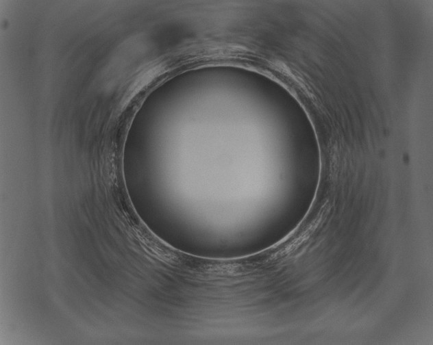 X0000073891211200608180925