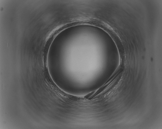 X0000073891214200608180925