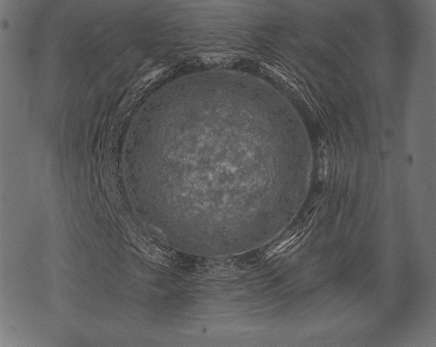 X0000073891249200608180925
