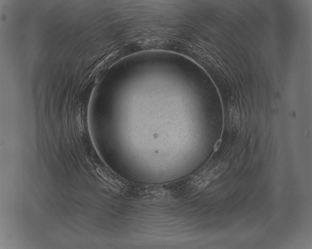 X0000073891250200608180925