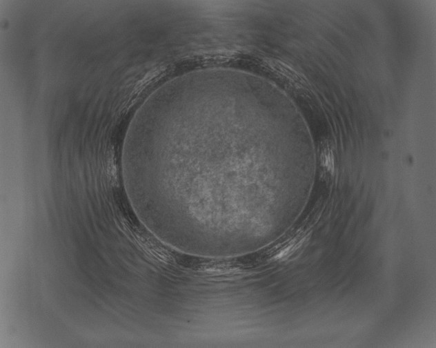 X0000073891252200608180925