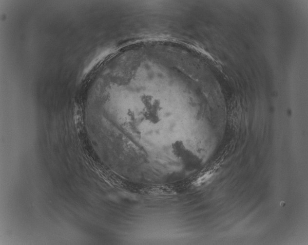 X0000073891255200608180925