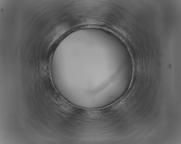 X0000073891258200608180925