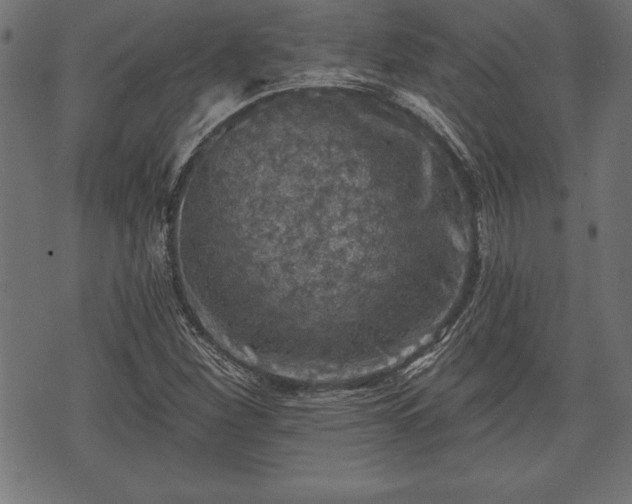 X0000073891260200608180925