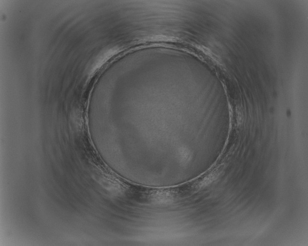 X0000073891266200608180924