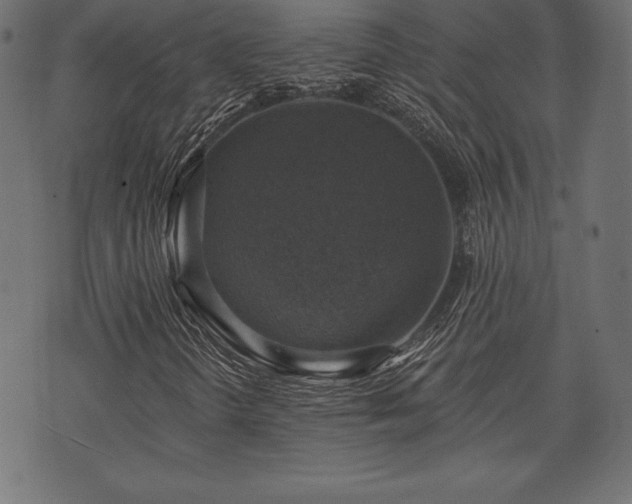 X0000073891298200608180923