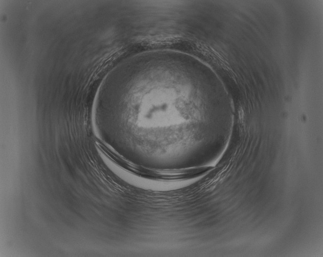 X0000073891300200608180923