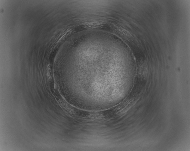 X0000073891346200608180923