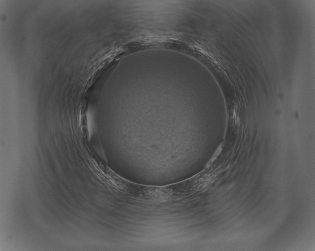X0000073891348200608180923