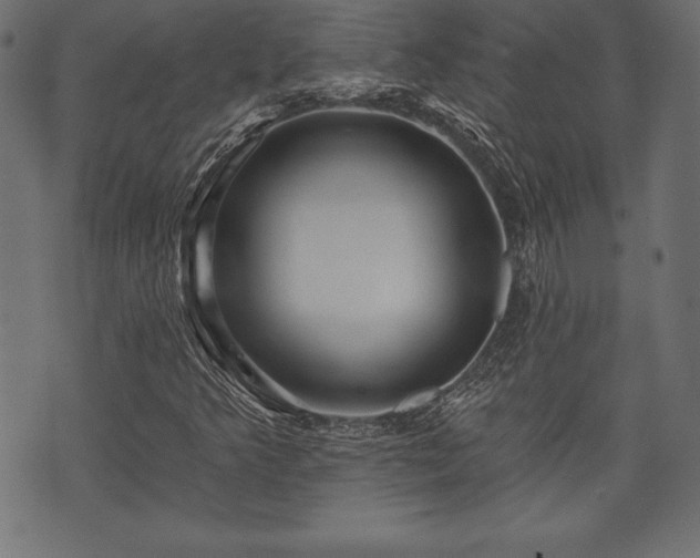 X0000073891349200608180923