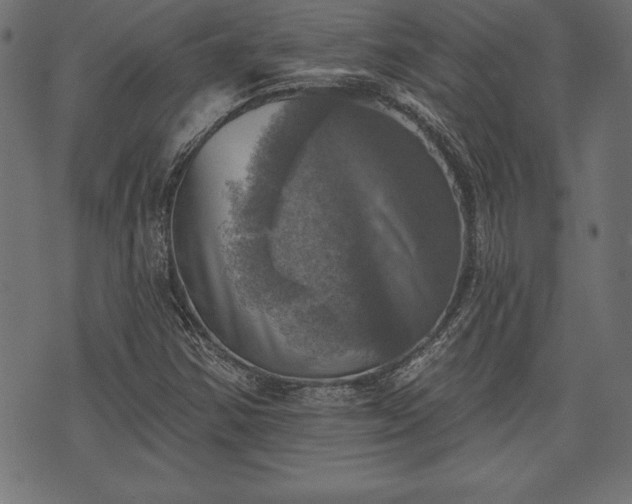 X0000073891354200608180923