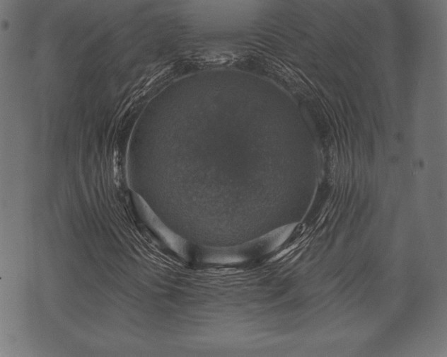 X0000073891394200608180922