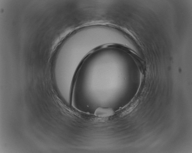 X0000073891406200608180922