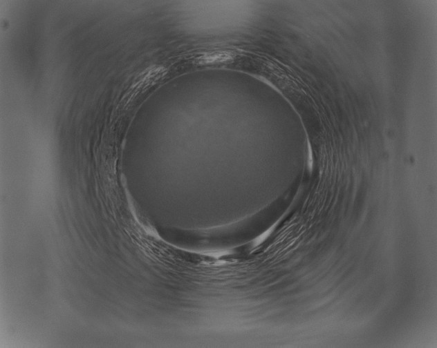 X0000073891441200608180922