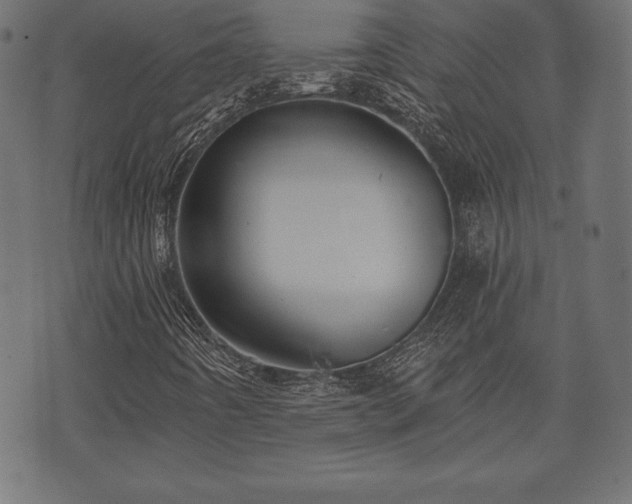 X0000073891442200608180922