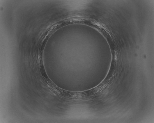 X0000073891445200608180922