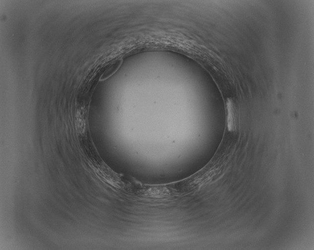 X0000073891491200608180920