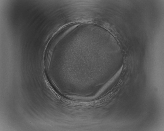 X0000073890002200608251443