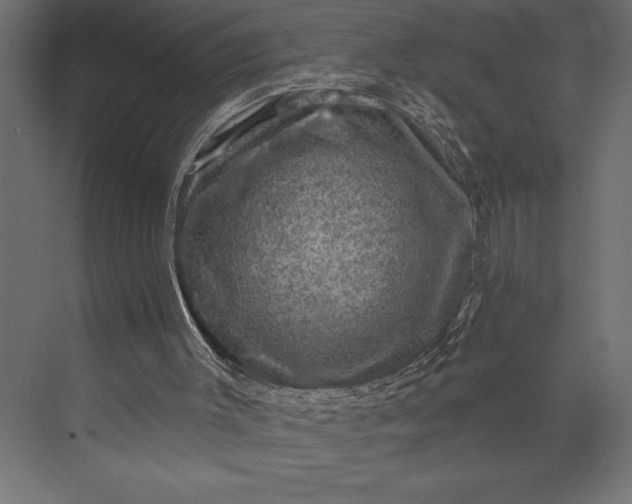 X0000073890003200608251443