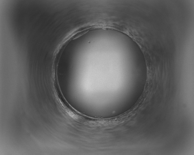 X0000073890005200608251443