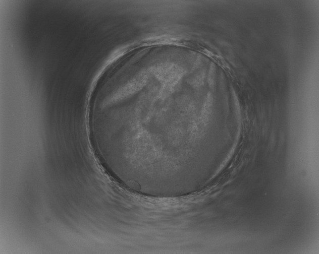 X0000073890006200608251443