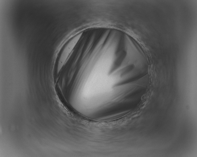 X0000073890007200608251443