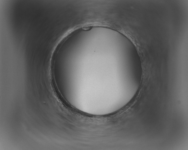 X0000073890008200608251443