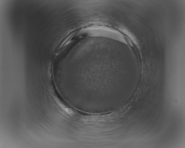 X0000073890009200608251443