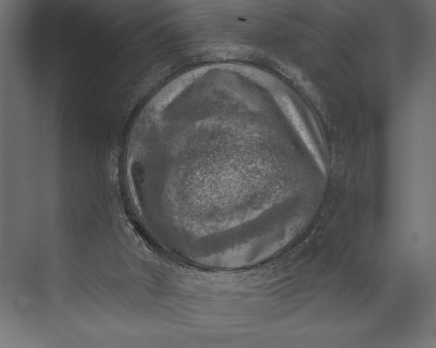 X0000073890010200608251443