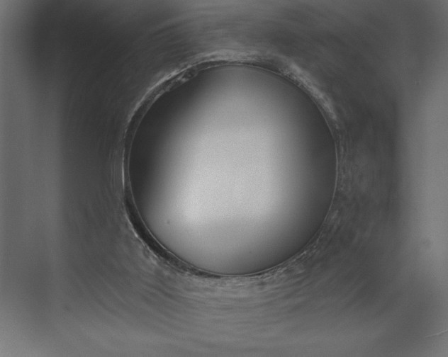 X0000073890011200608251443